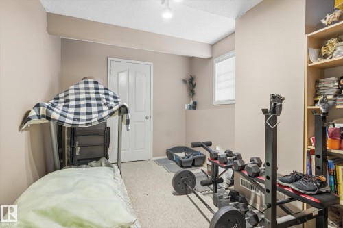 9771 176 Street, Edmonton, AB - Indoor Photo Showing Gym Room
