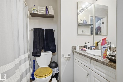 9771 176 Street, Edmonton, AB - Indoor Photo Showing Bathroom