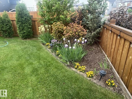 173 Hays Ridge Boulevard, Edmonton, AB - Outdoor