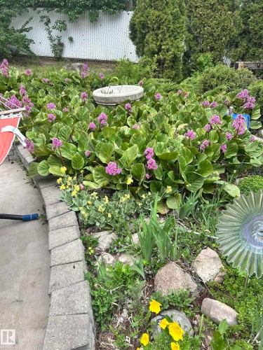 32 Grenfell Avenue, St. Albert, AB - Outdoor