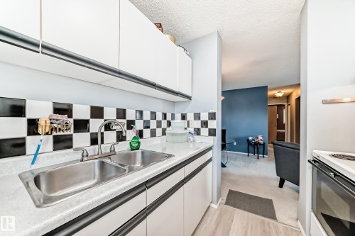 347 10520 120 Street, Edmonton, AB - Indoor Photo Showing Kitchen With Double Sink