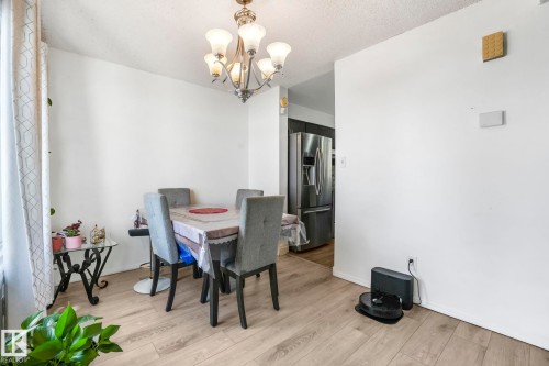 Dining room with hanging lights, light wood-style floors, and a textured ceiling - 19 1415 62 Street, Edmonton, AB - Indoor Photo Showing Dining Room