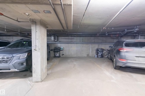 411 920 156 Street, Edmonton, AB - Indoor Photo Showing Garage