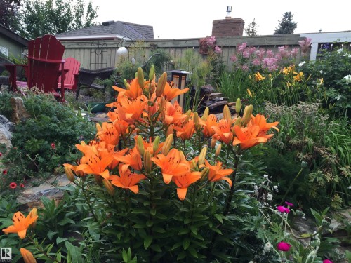 29 Woodlands Road, St. Albert, AB - Outdoor