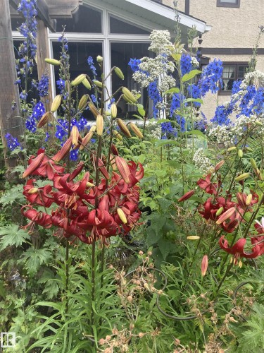 29 Woodlands Road, St. Albert, AB - 