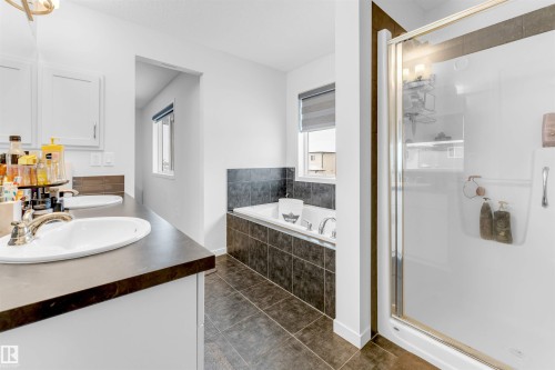 933 Mcconachie Boulevard, Edmonton, AB - Indoor Photo Showing Bathroom
