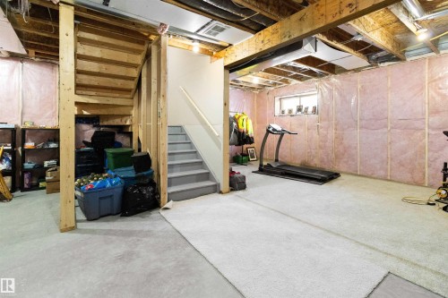 22706 95A Avenue, Edmonton, AB - Indoor Photo Showing Basement