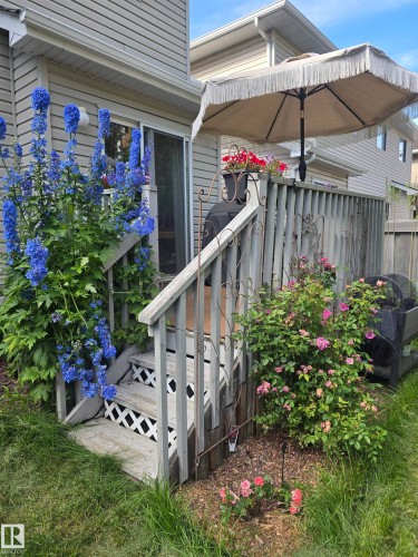 5 287 Macewan Road, Edmonton, AB - Outdoor