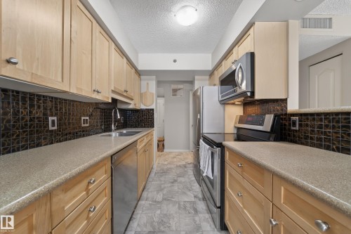 205 10130 114 Street, Edmonton, AB - Indoor Photo Showing Kitchen With Double Sink