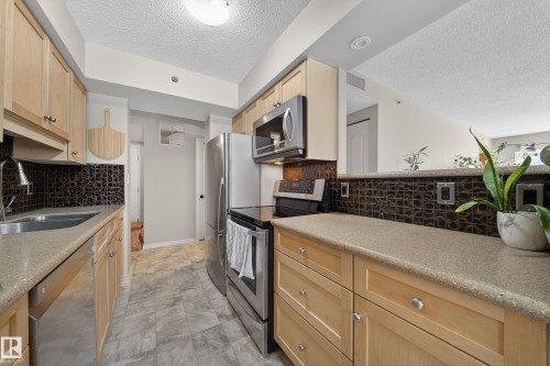 205 10130 114 Street, Edmonton, AB - Indoor Photo Showing Kitchen With Double Sink