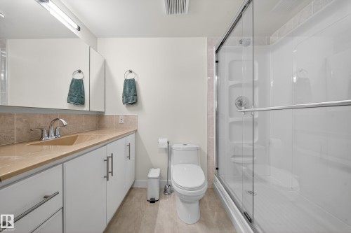 205 10130 114 Street, Edmonton, AB - Indoor Photo Showing Bathroom
