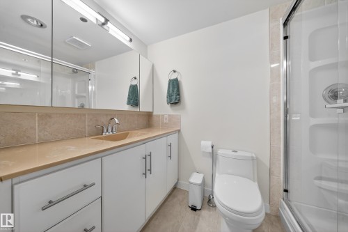 205 10130 114 Street, Edmonton, AB - Indoor Photo Showing Bathroom