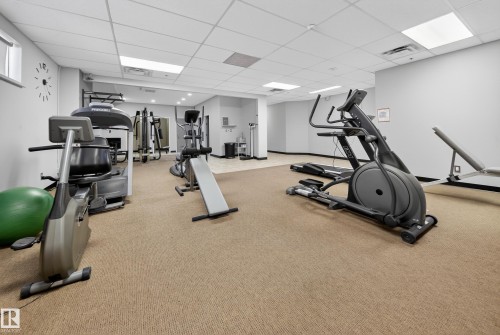 205 10130 114 Street, Edmonton, AB - Indoor Photo Showing Gym Room