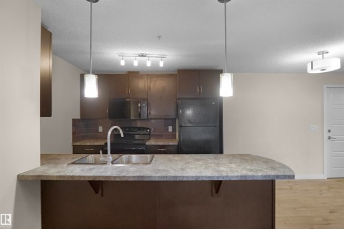 335 6076 Schonsee Way, Edmonton, AB - Indoor Photo Showing Kitchen With Double Sink