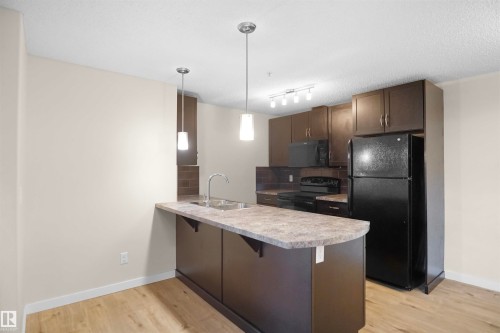 335 6076 Schonsee Way, Edmonton, AB - Indoor Photo Showing Kitchen With Double Sink
