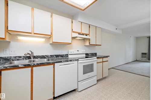 101 4812 51 Avenue, Stony Plain, AB - Indoor Photo Showing Kitchen With Double Sink