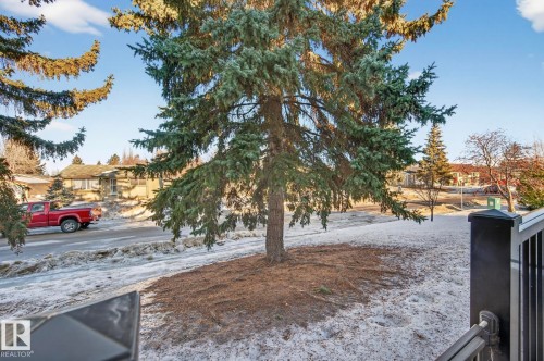View of yard with a residential view - 9969 171 Ave, Edmonton, AB - Outdoor With View