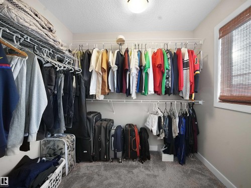 Walk in closet with carpet flooring - 5423 Chappelle Road, Edmonton, AB - Indoor With Storage