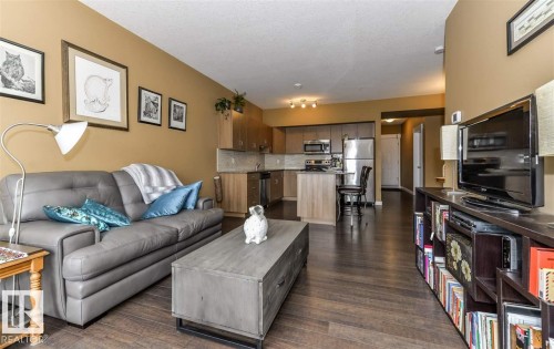 203 10518 113 Street, Edmonton, AB - Indoor Photo Showing Living Room