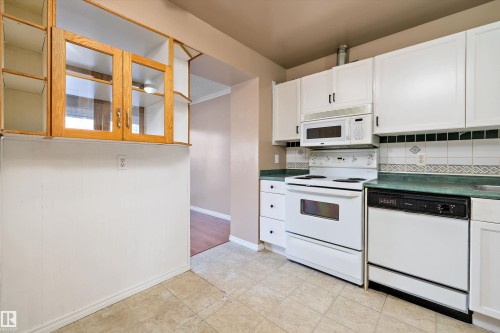 17423 92 Avenue, Edmonton, AB - Indoor Photo Showing Kitchen