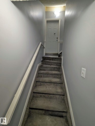 Staircase with carpet flooring - 315 Wild Rose Way, Edmonton, AB - Indoor Photo Showing Other Room