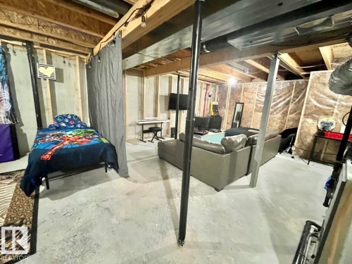 9340 211 Street Nw, Edmonton, AB - Indoor Photo Showing Basement