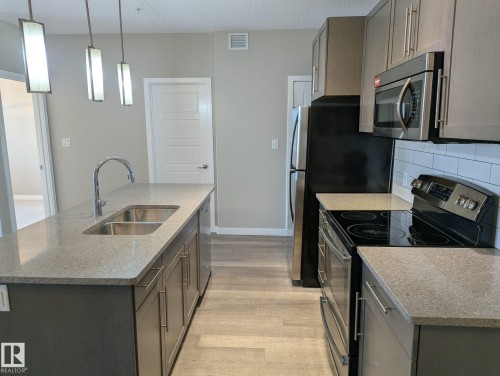319 1144 Adamson Drive, Edmonton, AB - Indoor Photo Showing Kitchen With Stainless Steel Kitchen With Double Sink With Upgraded Kitchen
