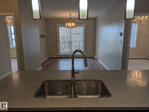 319 1144 Adamson Drive, Edmonton, AB - Indoor Photo Showing Kitchen With Double Sink