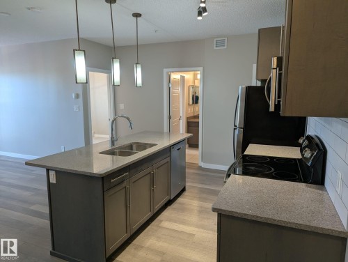 319 1144 Adamson Drive, Edmonton, AB - Indoor Photo Showing Kitchen With Double Sink