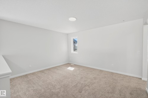 2235 194 Street, Edmonton, AB - Indoor Photo Showing Other Room
