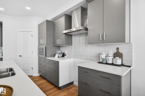 2235 194 Street, Edmonton, AB - Indoor Photo Showing Kitchen With Double Sink