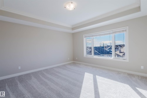 Spare room featuring carpet, crown molding, and a tray ceiling - 3612 Mclay Court, Edmonton, AB - Indoor Photo Showing Other Room