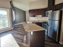 401 10710 116 Street, Edmonton, AB  - Indoor Photo Showing Kitchen With Double Sink 