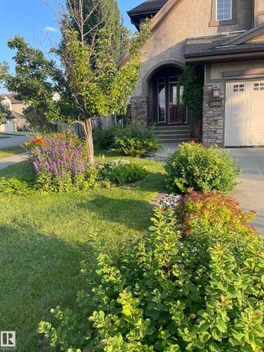 1503 Malone Close, Edmonton, AB - Outdoor