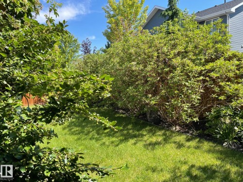 1311 Hainstock Way, Edmonton, AB - Outdoor