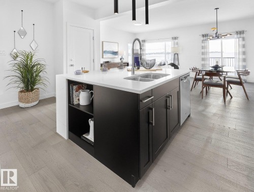 22003 93 Avenue, Edmonton, AB - Indoor Photo Showing Kitchen With Double Sink