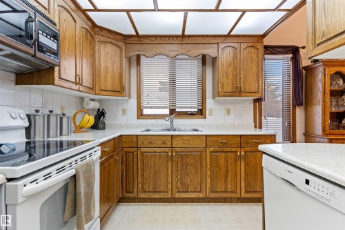 4024 28 Avenue, Edmonton, AB - Indoor Photo Showing Kitchen With Double Sink