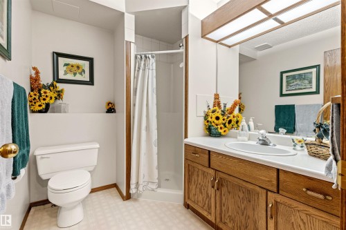 4024 28 Avenue, Edmonton, AB - Indoor Photo Showing Bathroom