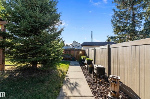 View of fenced backyard - 317 Grand Meadow Crescent, Edmonton, AB - Outdoor