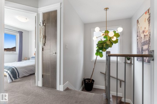 Hallway featuring carpet flooring and healthy amount of natural light - 89 Hewitt Circle, Spruce Grove, AB - Indoor