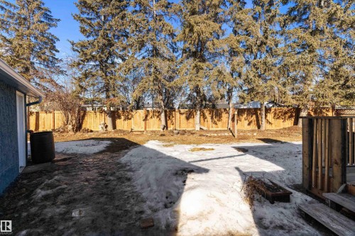 View of fenced backyard - 17116 81 Avenue, Edmonton, AB - Outdoor