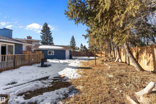 Snowy yard with a fenced backyard and an outdoor structure - 17116 81 Avenue, Edmonton, AB - Outdoor