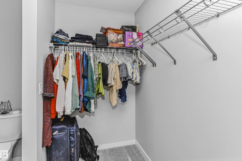 Walk in closet with carpet - 3108 158 Street, Edmonton, AB - Indoor With Storage