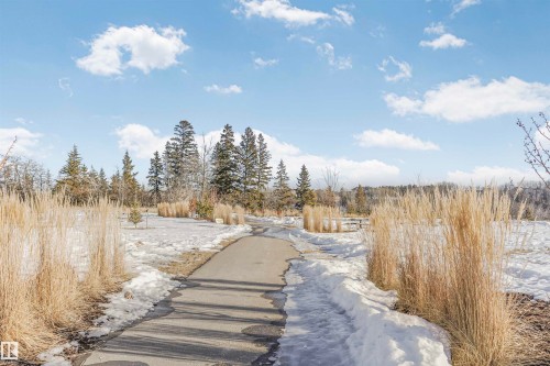 View of asphalt road - 3108 158 Street, Edmonton, AB - Outdoor With View