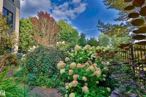 3054 Watson Landing Sw, Edmonton, AB - Outdoor