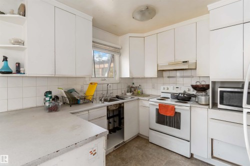 2508 49 Street, Edmonton, AB - Indoor Photo Showing Kitchen With Double Sink