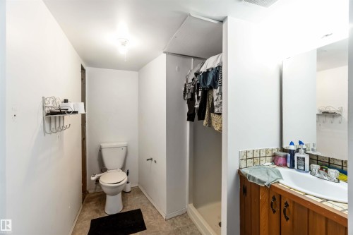 2508 49 Street, Edmonton, AB - Indoor Photo Showing Bathroom