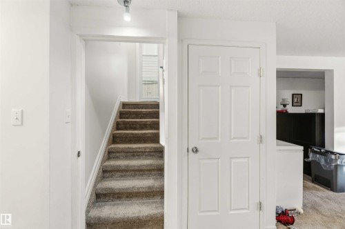 Stairway with carpet - 1706 Turvey Bend, Edmonton, AB - Indoor Photo Showing Other Room