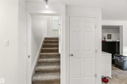 Stairway with carpet - 