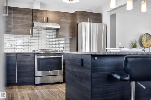 9521 109 Avenue, Edmonton, AB - Indoor Photo Showing Kitchen With Upgraded Kitchen